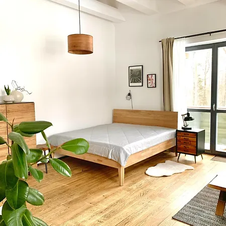Apartment Loft Lomnica