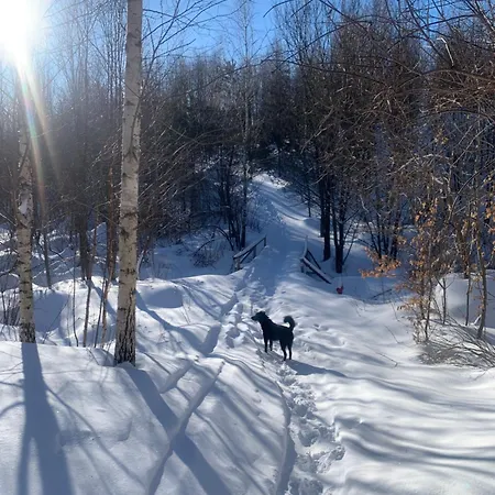 Loft Lomnica Apartment *