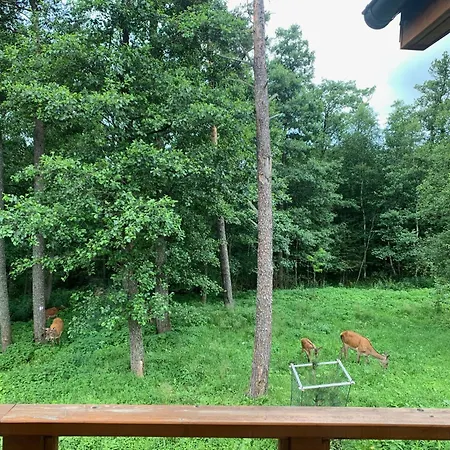 Loft Lomnica Daire Tatranská Lomnica