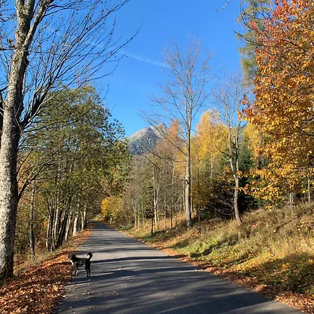 Daire Loft Lomnica *